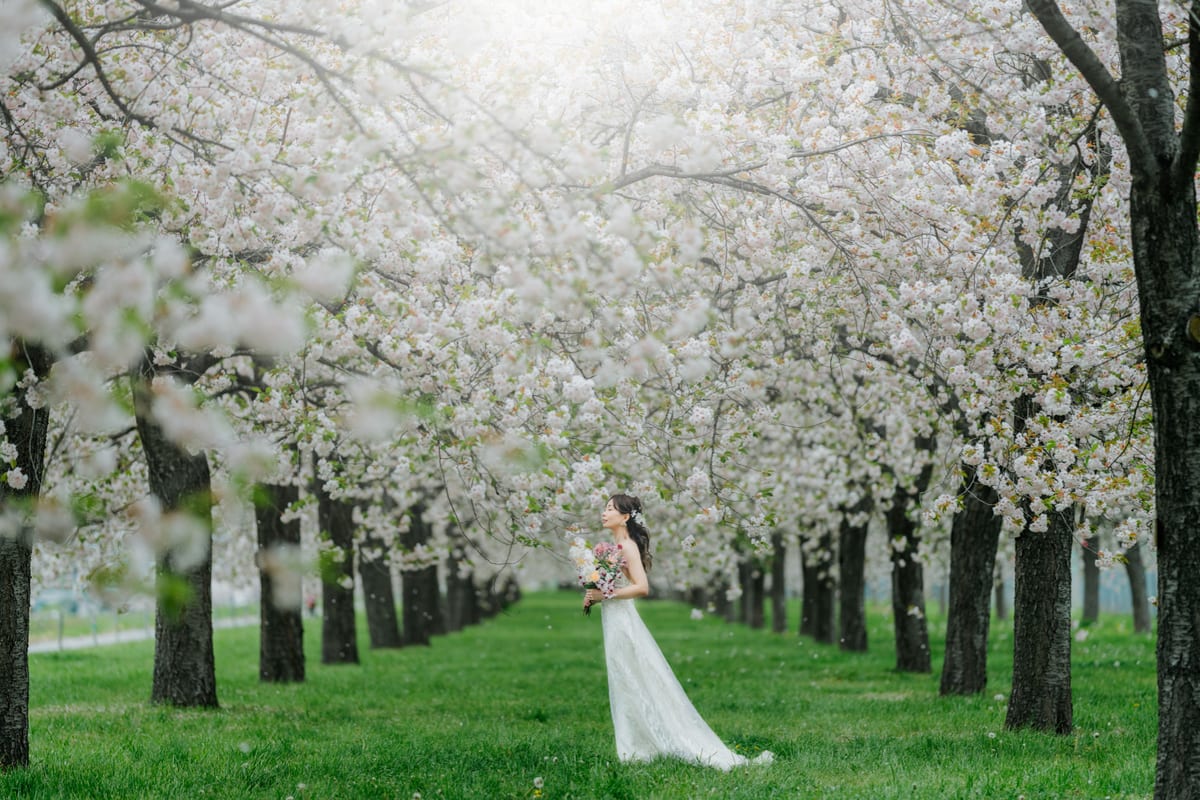 A bride standing beneath blooming cherry trees