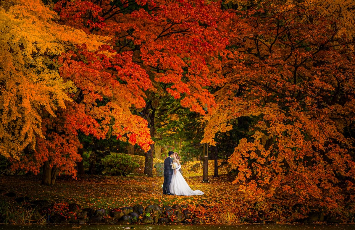 A bride and groom surrounded by vivid autumn foliage