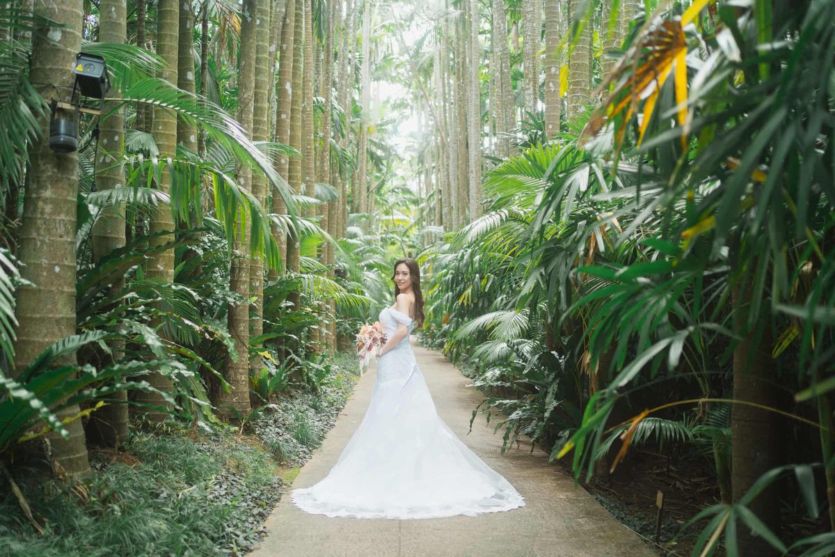 A bride standing on a path through tropical greenery