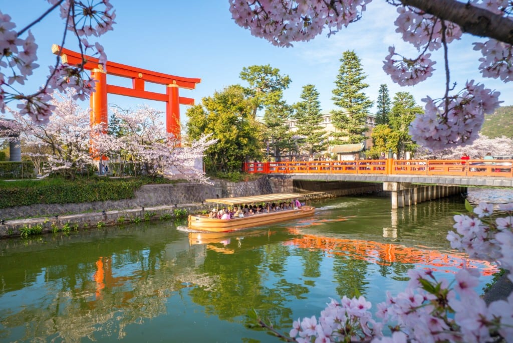 The shrine garden in cherry blossom season