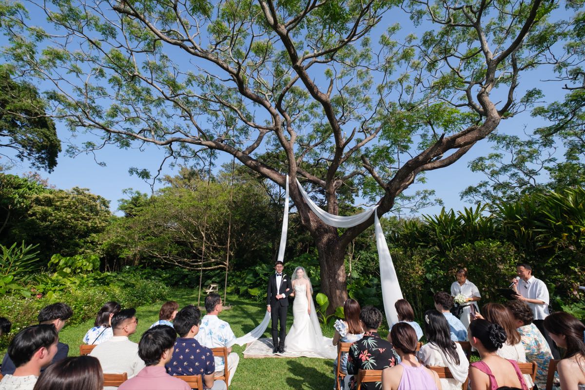 Guests watching a couple during a ceremony beneath a large garden tree